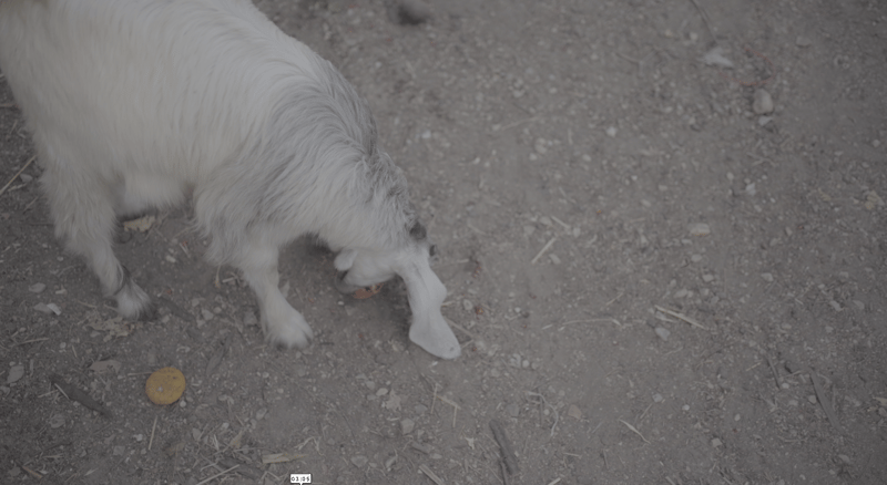 צילום מסך 2025-09-10 170910