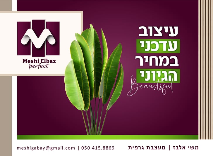 משי אלבז-עיתון סגול וירוק