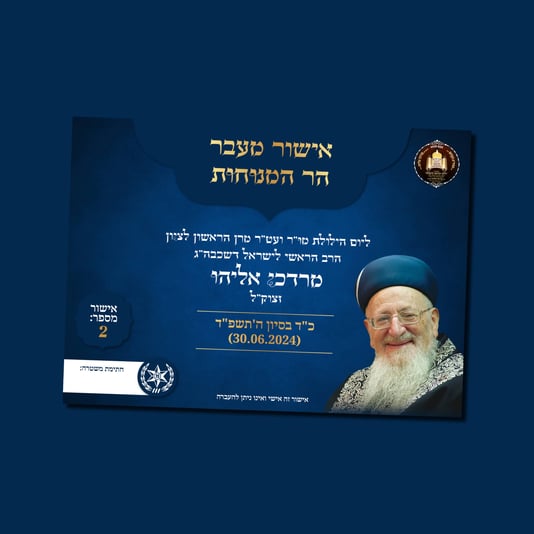 הדמיות הילולה8