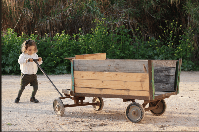 צילום מסך 2025-07-09 162551