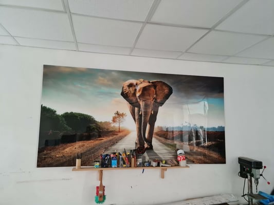 e6b89215614490feb11d0675c446a973