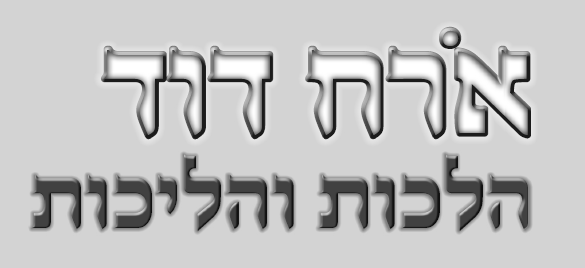 ‏‏לכידה