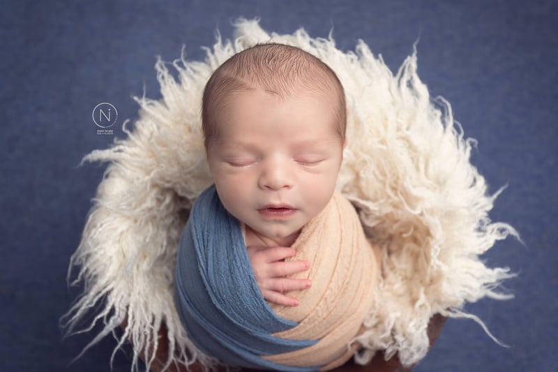 צילום נעמה נייהוז 0504160055 (1) (1)