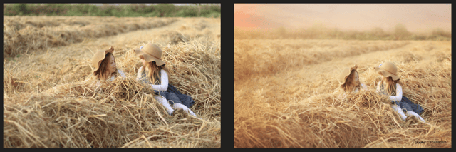 צילום מסך 2026-01-26 211336