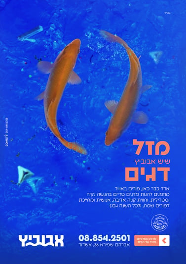פרסום פורים