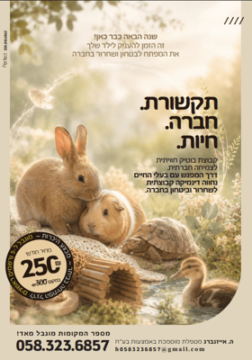 הדסי מודעה