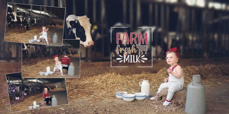 רפת דסי פריד בוק