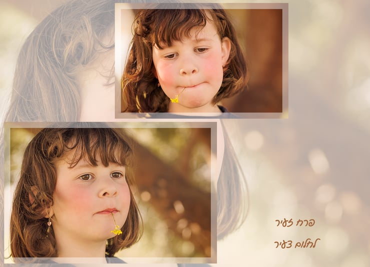 אלבום שיינדי 4