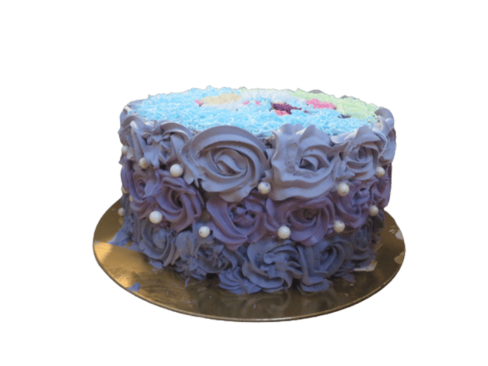 IMG_0010-removebg-preview