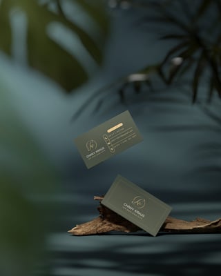 כרטיס ביקור 2