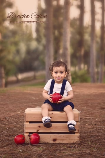 BRC_3650 copy מוקטן