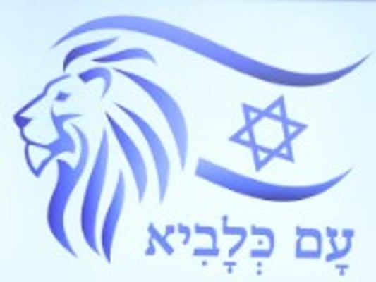 צילום מסך 2025-06-27 134004
