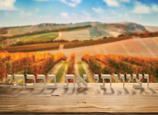 וציויתי