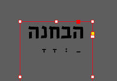 צילום מסך 2026-07-12 132239
