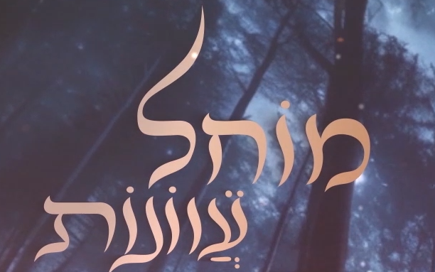 צילום מסך 2024-09-17 154518