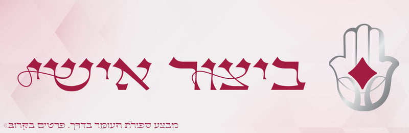 כל הטיזרים2