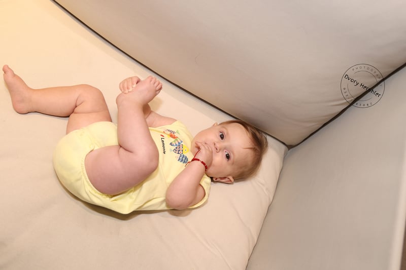 דבורי הרשלר 0527143082 איכות נמוכה (1)