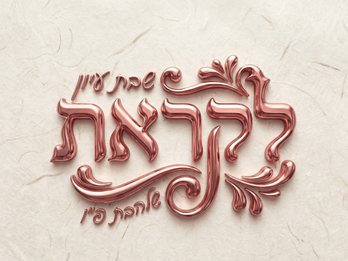 צילום מסך 2026-06-26 165746