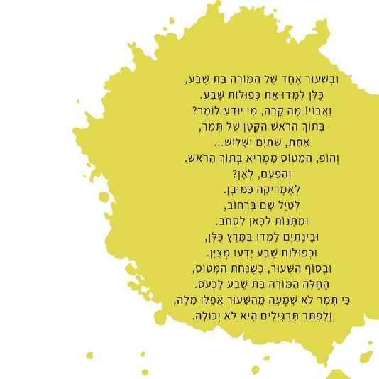 המטוס שלי (5)