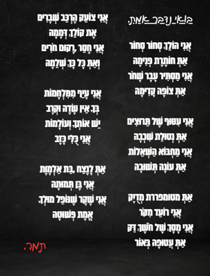 צילום מסך 2026-01-27 222053