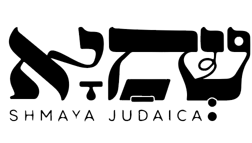 צילום מסך 2024-09-19 095531