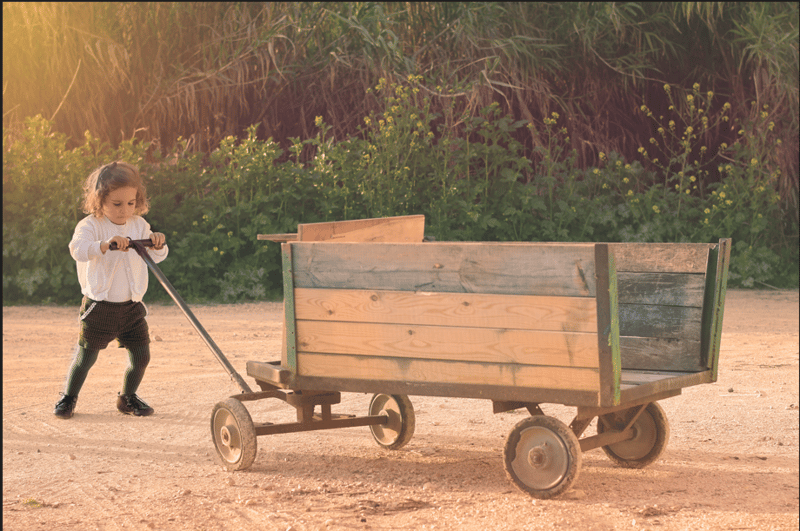 צילום מסך 2025-07-09 162645