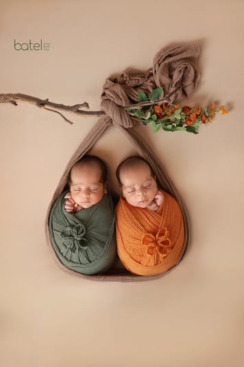 צילום בתאל פרג'י 0527147841 2