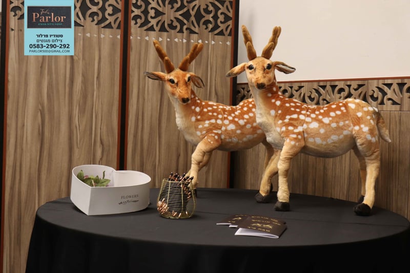 השראה מבת מצווה צילומי מגנטים סטודיו פרלור (3)