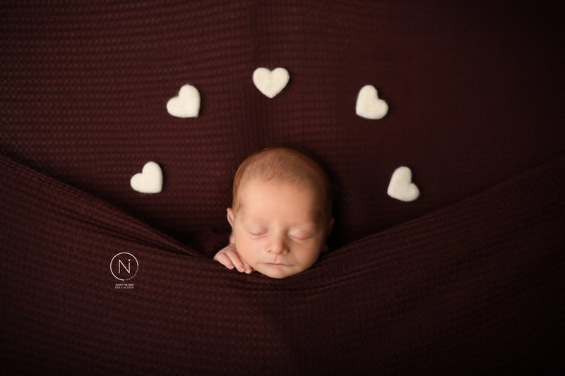 צילום נעמה נייהוז 0504160055 (6)