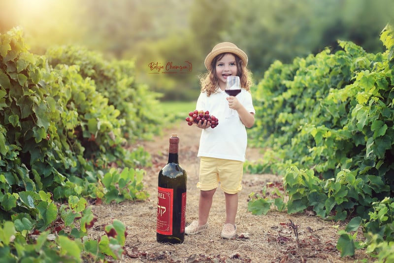 בתיה חיימזון (3)