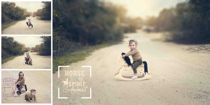 סוס נדנדה דסי מושקוביץ בוק