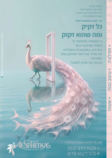 פרסומת אפילציה 1_565x800