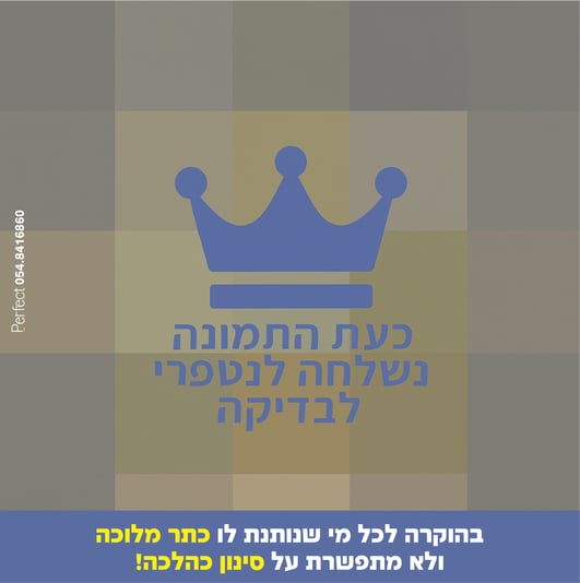 גילי שנור-01