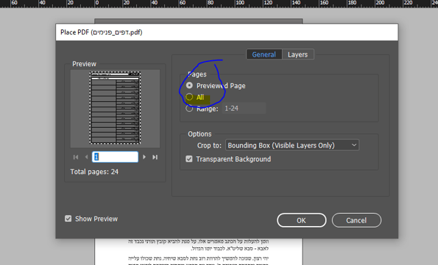 ייבוא קובץ מרובה עמודים