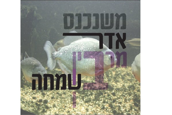 אדר