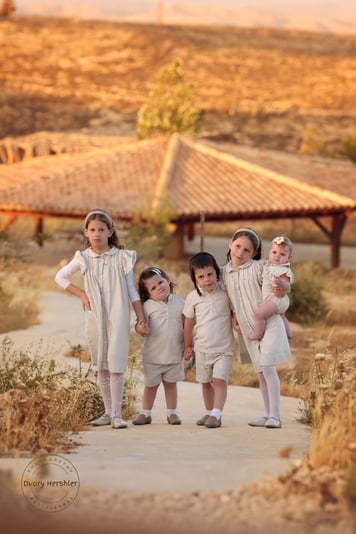 דבורי הרשלר מוקטן 0527143082 (4)