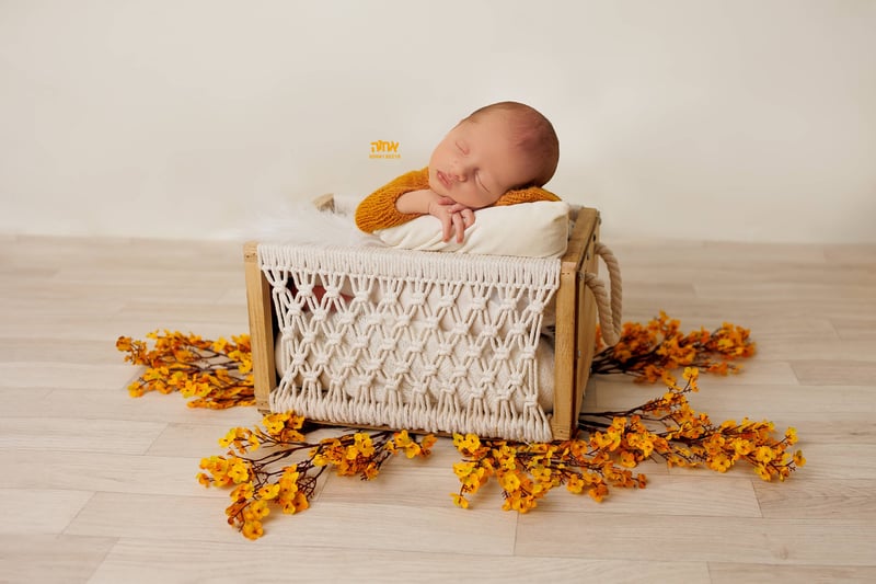 0504130218 אחוה פלוטקין (11)