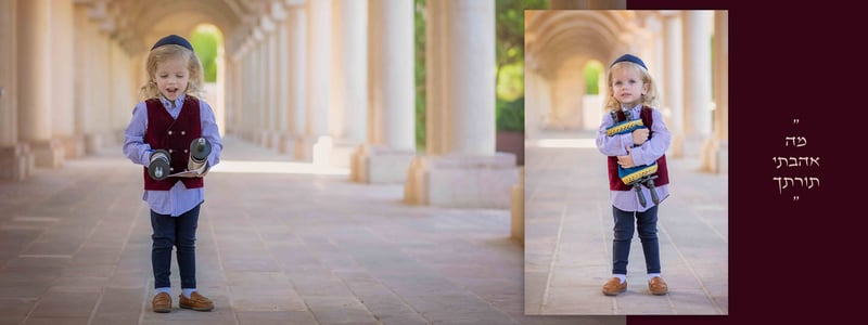 איכות נמוכה (6)