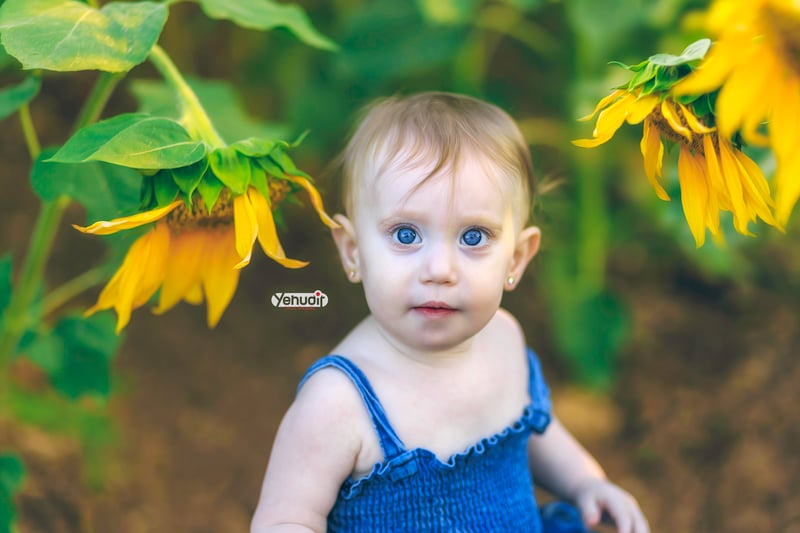 ‏‏‏‏5X7A9622 - יהודית סמט - עותק