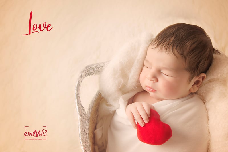 IMG_0531(1מוקטן)