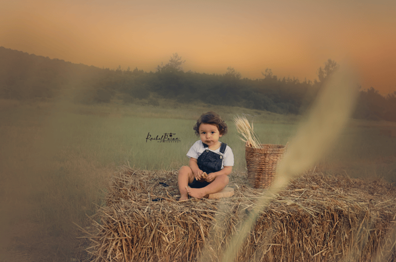 צילום מסך 2023-05-22 003817