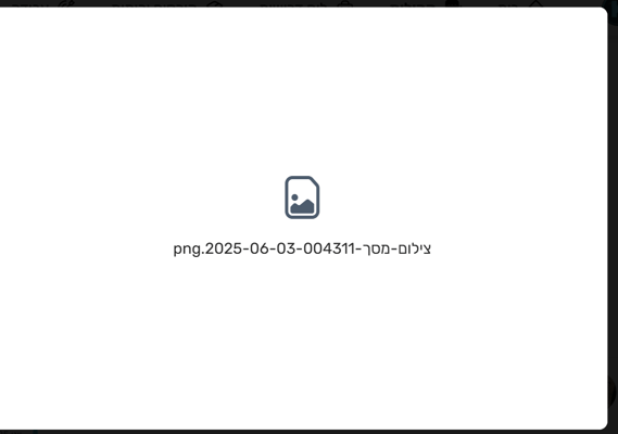 צילום מסך 2025-06-03 011939