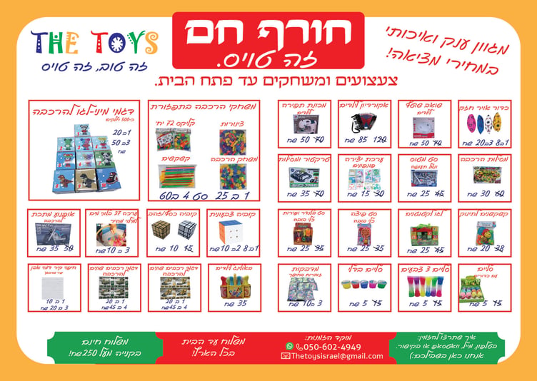 פלייר זה טויס מוכן2