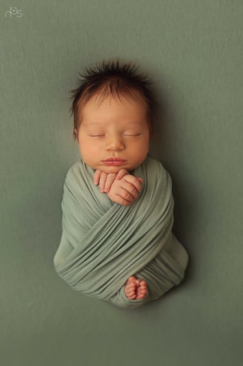 1M8A4122 copy.jpgמוקטן לוכו