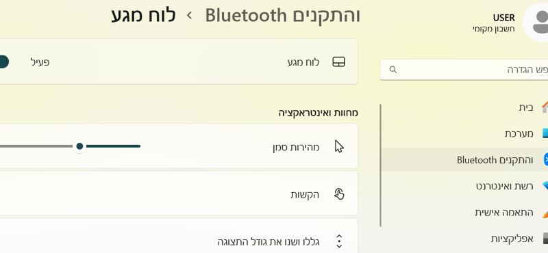 צילום מסך 2025-06-20 004148