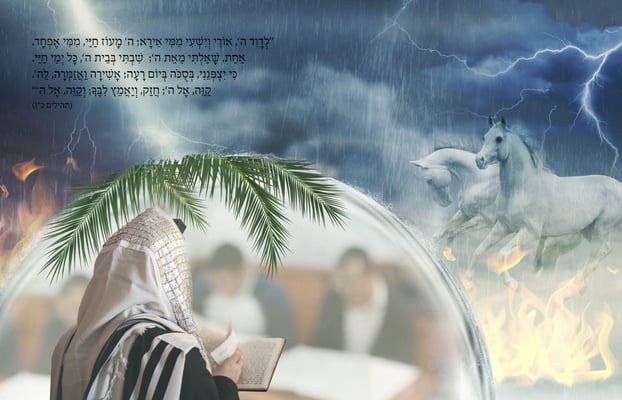 לדוד השם