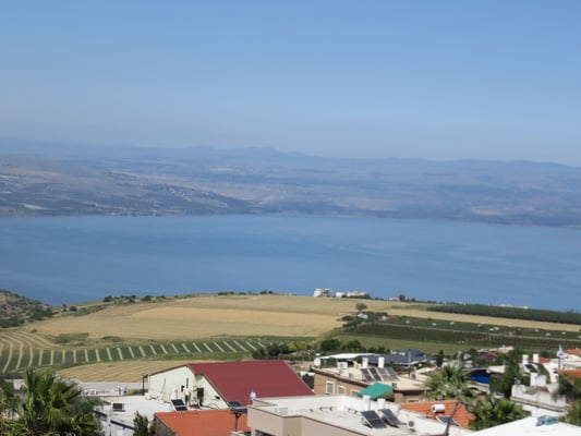 IMG_1132 (2) (1) - Copy (1)