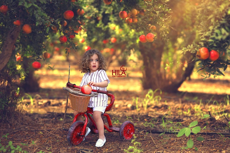 הילי ארגמן איכות נמוכה 0527656832 (13)
