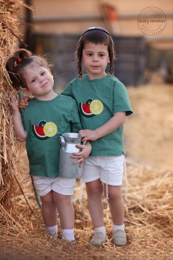 דבורי הרשלר מוקטן 0527143082 (5)