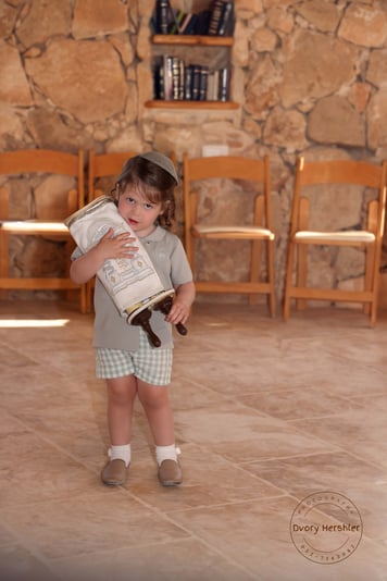 דבורי הרשלר מוקטן 0527143082 (7)